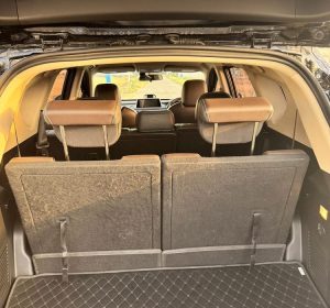 Rear view of DFSK Glory showing taillights and design